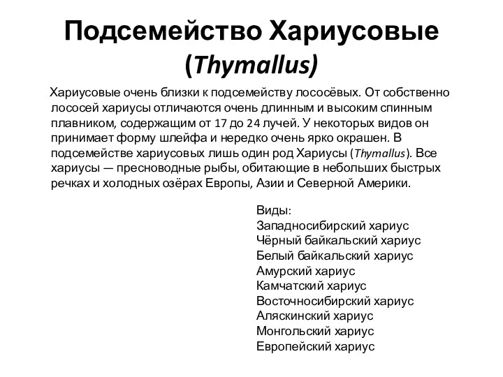 Подсемейство Хариусовые (Thymallus) Хариусовые очень близки к подсемейству лососёвых. От