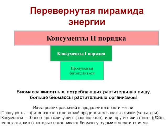 Консументы II порядка Консументы I порядка Перевернутая пирамида энергии Продуценты