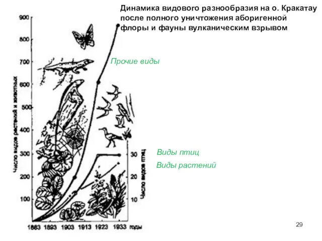 Динамика видового разнообразия на о. Кракатау после полного уничтожения аборигенной