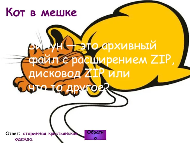 Кот в мешке Обратно Ответ: старинная крестьянская одежда. Зипун —