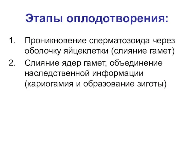 Этапы оплодотворения: Проникновение сперматозоида через оболочку яйцеклетки (слияние гамет) Слияние