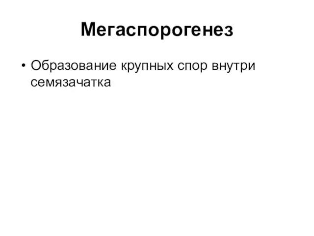 Мегаспорогенез Образование крупных спор внутри семязачатка