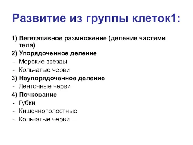 Развитие из группы клеток1: 1) Вегетативное размножение (деление частями тела) 2) Упорядоченное деление