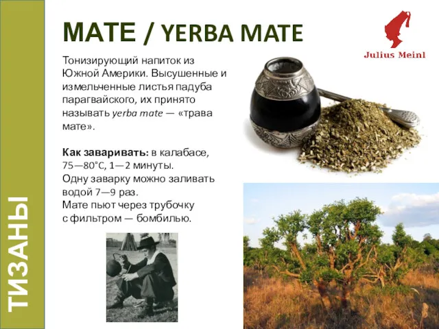 МАТЕ / YERBA MATE ТИЗАНЫ Тонизирующий напиток из Южной Америки. Высушенные и измельченные