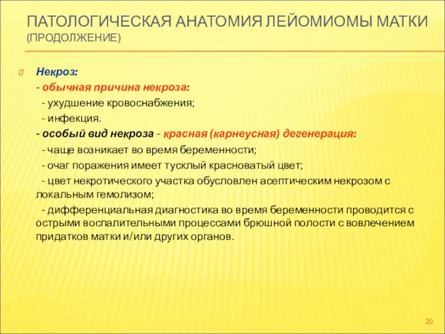 ПАТОЛОГИЧЕСКАЯ АНАТОМИЯ ЛЕЙОМИОМЫ МАТКИ (ПРОДОЛЖЕНИЕ) Некроз: - обычная причина некроза: