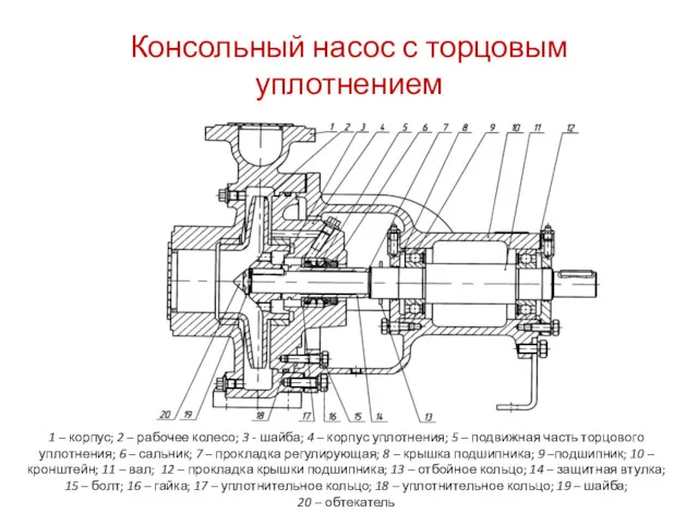 Консольный насос с торцовым уплотнением 1 – корпус; 2 – рабочее колесо; 3