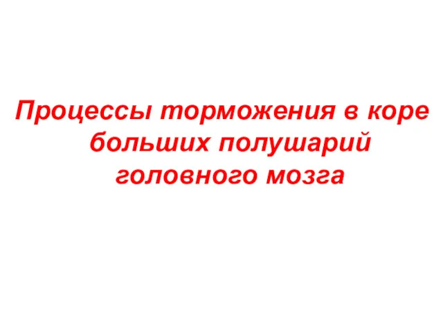 Процессы торможения в коре больших полушарий головного мозга