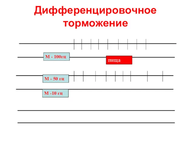 Дифференцировочное торможение