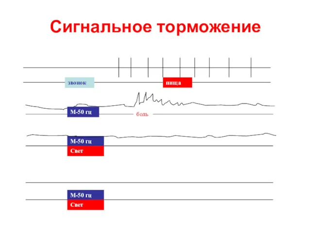 Сигнальное торможение