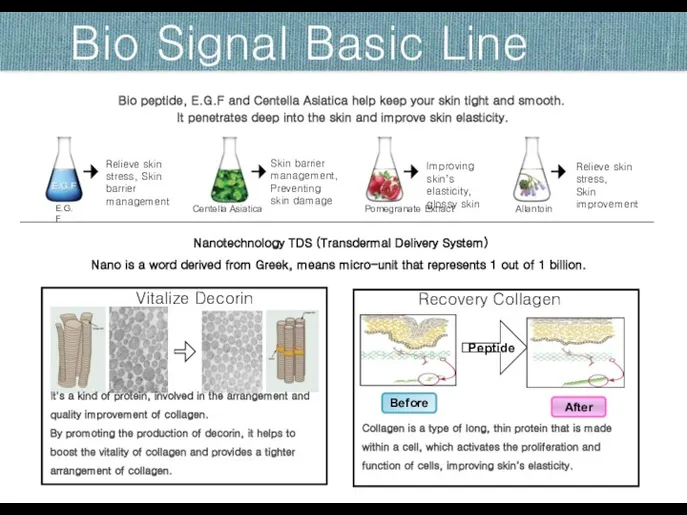 Bio Signal Basic Line It's a kind of protein, involved