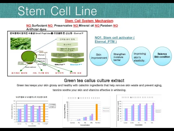 Stem Cell Line Stem Cell System Mechanism NO1. Stem cell