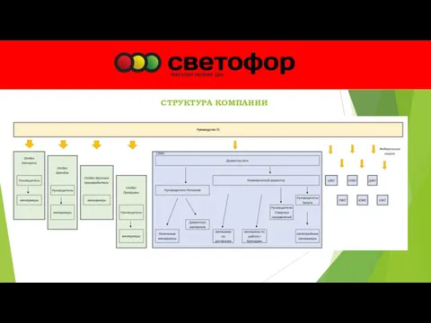 СТРУКТУРА КОМПАНИИ