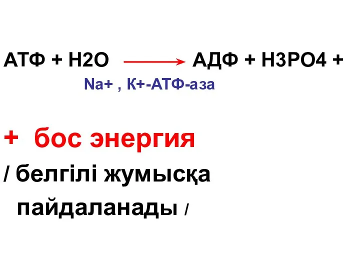 АТФ + Н2О АДФ + Н3РО4 + Nа+ , К+-АТФ-аза + бос энергия