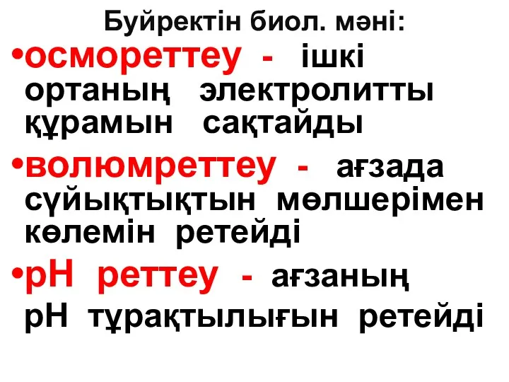 Буйректін биол. мәні: осмореттеу - ішкі ортаның электролитты құрамын сақтайды волюмреттеу - ағзада