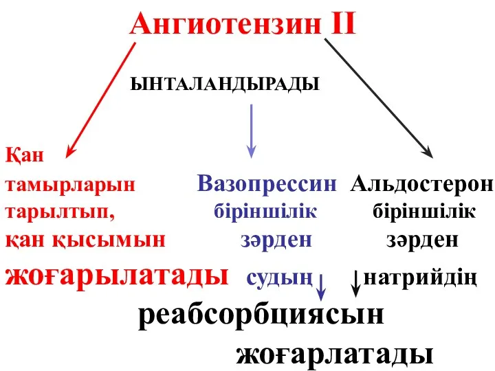 Ангиотензин ІІ ЫНТАЛАНДЫРАДЫ Қан тамырларын Вазопрессин Альдостерон тарылтып, біріншілік біріншілік