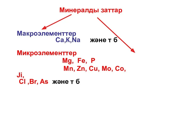 Минералды заттар Макроэлементтер Са,К,Na және т б Микроэлементтер Mg, Fe, P Mn, Zn,