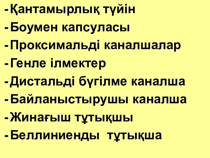 Қантамырлық түйін Боумен капсуласы Проксимальді каналшалар Генле ілмектер Дистальді бүгілме