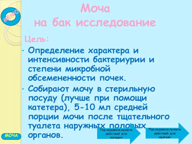 Определение характера и интенсивности бактериурии и степени микробной обсемененности почек.