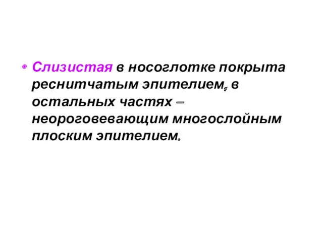 Слизистая в носоглотке покрыта реснитчатым эпителием, в остальных частях – неороговевающим многослойным плоским эпителием.