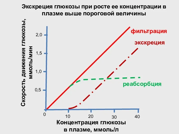 Экскреция глюкозы при росте ее концентрации в плазме выше пороговой