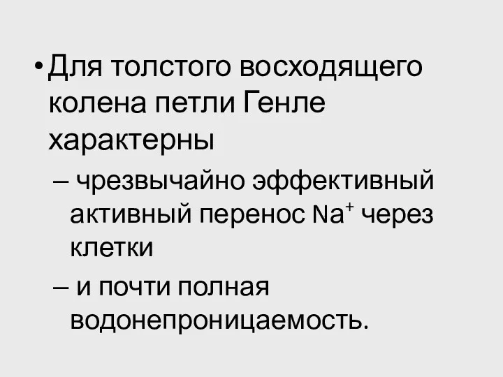 Для толстого восходящего колена петли Генле характерны чрезвычайно эффективный активный