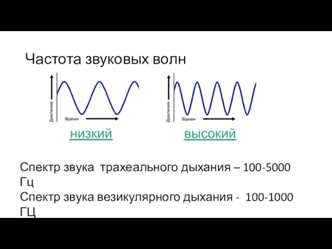 Частота звуковых волн Спектр звука трахеального дыхания – 100-5000 Гц