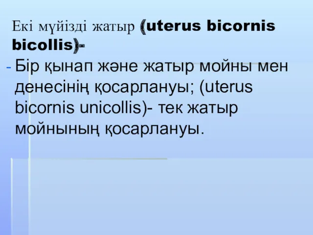 Екі мүйізді жатыр (uterus bicornis bicollis)- Бір қынап және жатыр мойны мен денесінің