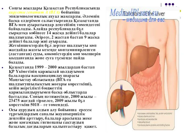 Соңғы жылдары Қазақстан Республикасында вирусты гепатит А (ВГА) бойынша эпидемиологиялық