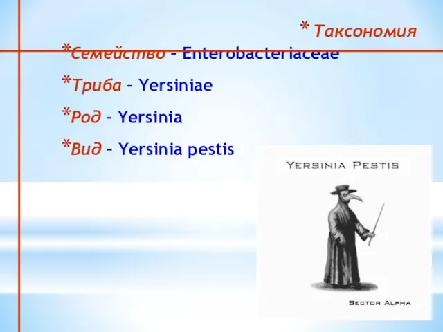 Таксономия Семейство – Enterobacteriaceae Триба – Yersiniae Род – Yersinia Вид – Yersinia pestis