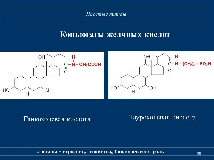 Простые липиды Липиды - строение, свойства, биологическая роль Конъюгаты желчных кислот Гликохолевая кислота Таурохолевая кислота