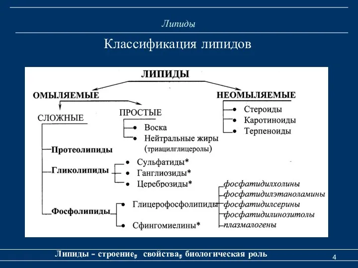 Липиды Липиды - строение, свойства, биологическая роль Классификация липидов