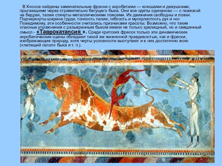 В Кноссе найдены замечательные фрески с акробатами — юношами и