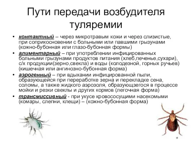 Пути передачи возбудителя туляремии контактный – через микротравым кожи и