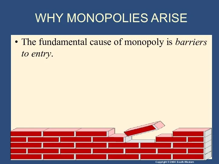 WHY MONOPOLIES ARISE The fundamental cause of monopoly is barriers to entry.