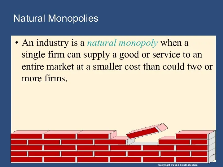 Natural Monopolies An industry is a natural monopoly when a single firm can