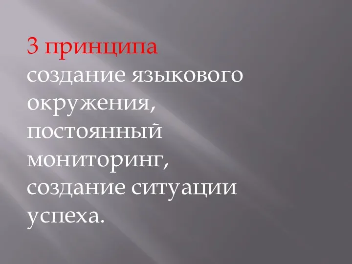 3 принципа создание языкового окружения, постоянный мониторинг, создание ситуации успеха.