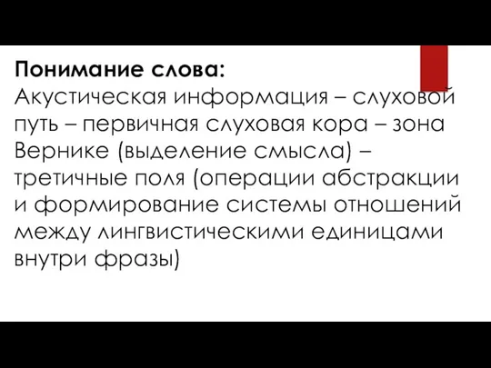 Понимание слова: Акустическая информация – слуховой путь – первичная слуховая