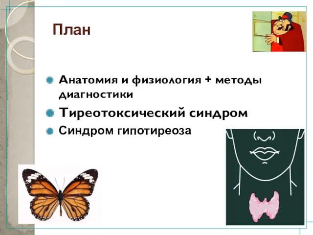 План Анатомия и физиология + методы диагностики Тиреотоксический синдром Синдром гипотиреоза