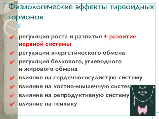 Физиологические эффекты тиреоидных гормонов регуляция роста и развития + развитие