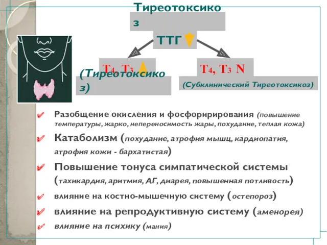 Тиреотоксикоз ТТГ Т4, Т3 N Т4, Т3 (Тиреотоксикоз) (Субклинический Тиреотоксикоз) Разобщение окисления и
