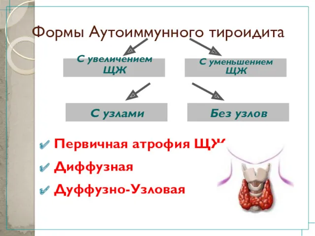 Формы Аутоиммунного тироидита Первичная атрофия ЩЖ Диффузная Дуффузно-Узловая С увеличением