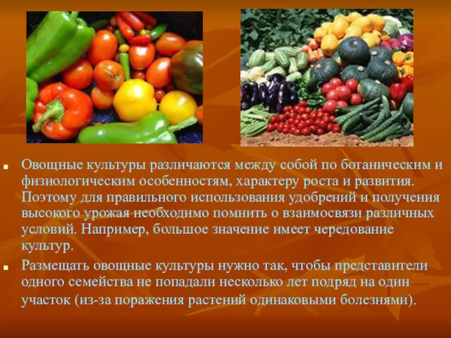 Овощные культуры различаются между собой по ботаническим и физиологическим особенностям,