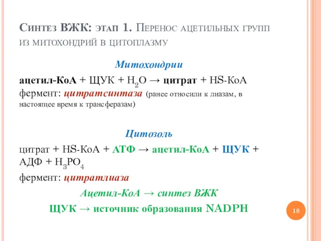 Синтез ВЖК: этап 1. Перенос ацетильных групп из митохондрий в