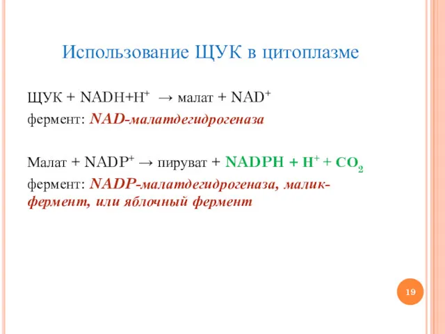 Использование ЩУК в цитоплазме ЩУК + NADН+Н+ → малат +