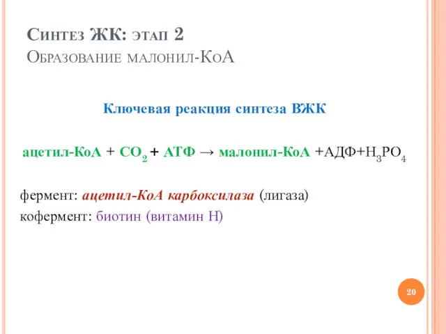 Синтез ЖК: этап 2 Образование малонил-КоА Ключевая реакция синтеза ВЖК