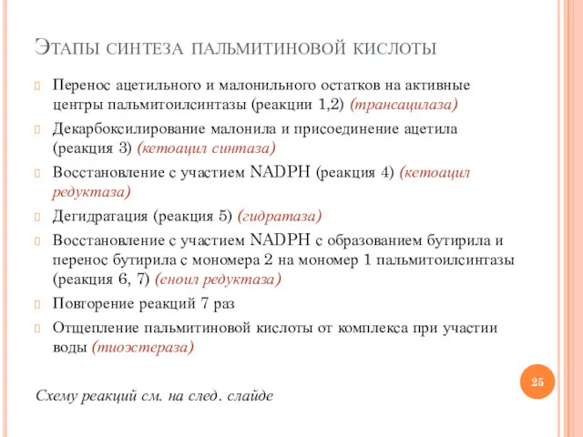 Этапы синтеза пальмитиновой кислоты Перенос ацетильного и малонильного остатков на