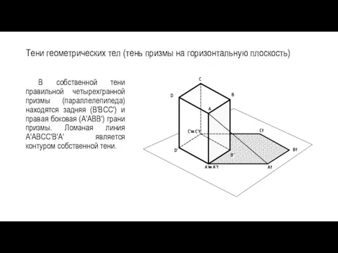 Тени геометрических тел (тень призмы на горизонтальную плоскость) В собственной