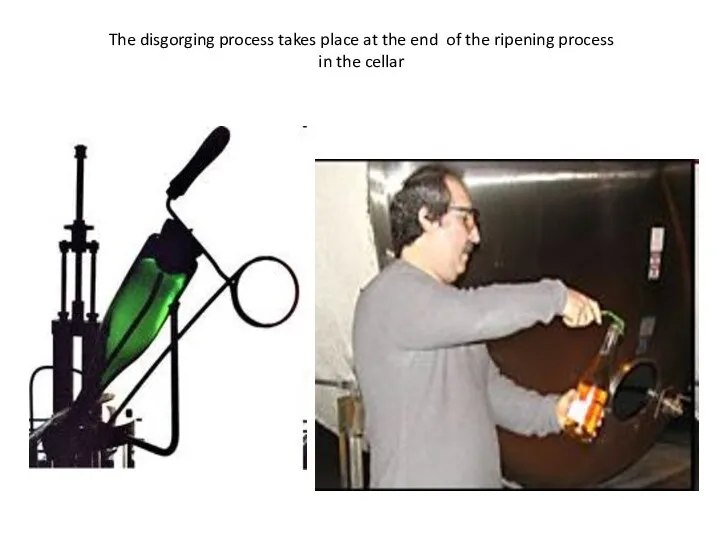 The disgorging process takes place at the end of the ripening process in the cellar