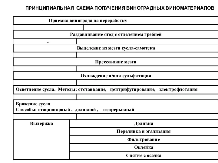 ПРИНЦИПИАЛЬНАЯ СХЕМА ПОЛУЧЕНИЯ ВИНОГРАДНЫХ ВИНОМАТЕРИАЛОВ ПРИНЦИПИАЛЬНАЯ СХЕМА ПОЛУЧЕНИЯ ВИНОГРАДНЫХ ВИНОМАТЕРИАЛОВ