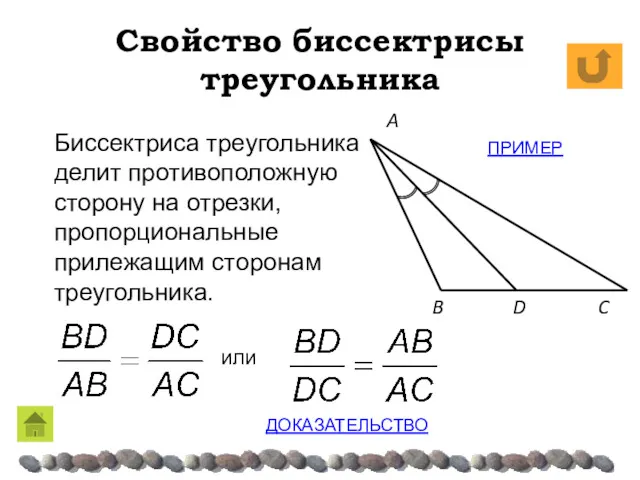 Свойство биссектрисы треугольника C B A Биссектриса треугольника делит противоположную сторону на отрезки,